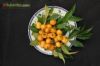 Eugenia luschnathiana / pitomba-da-ba�a